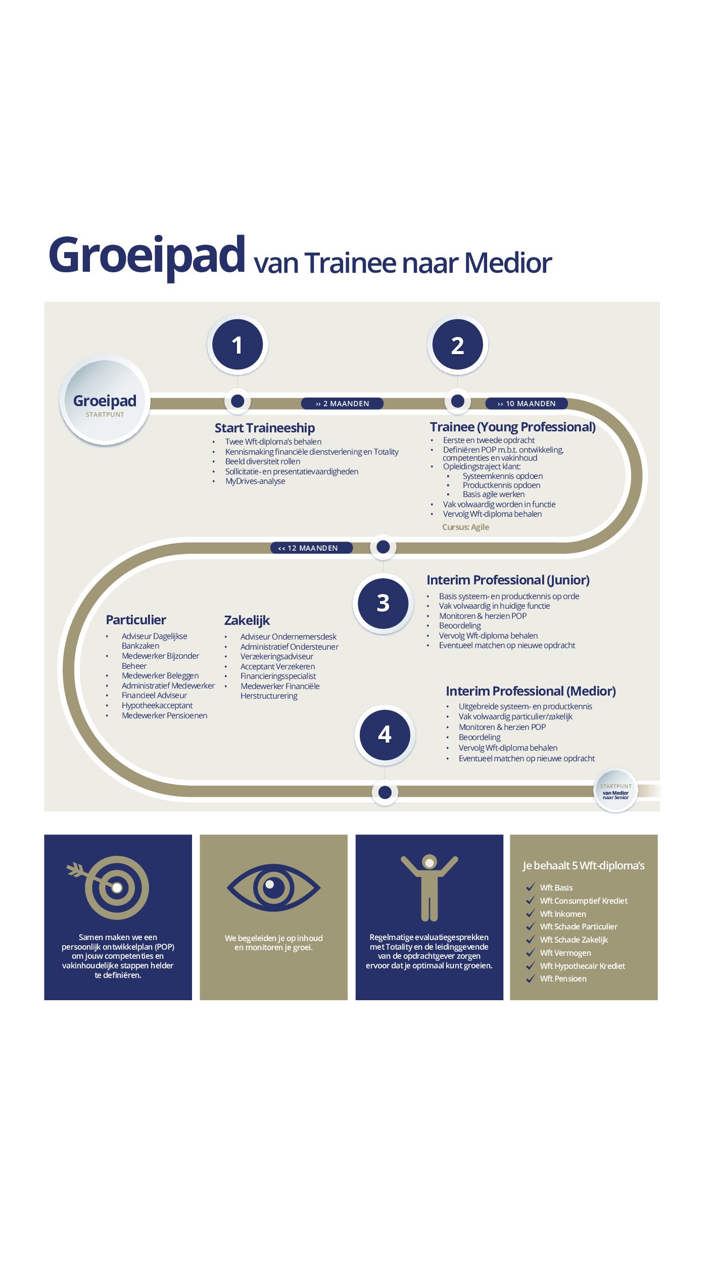Infographic trainee-medior – formaat website